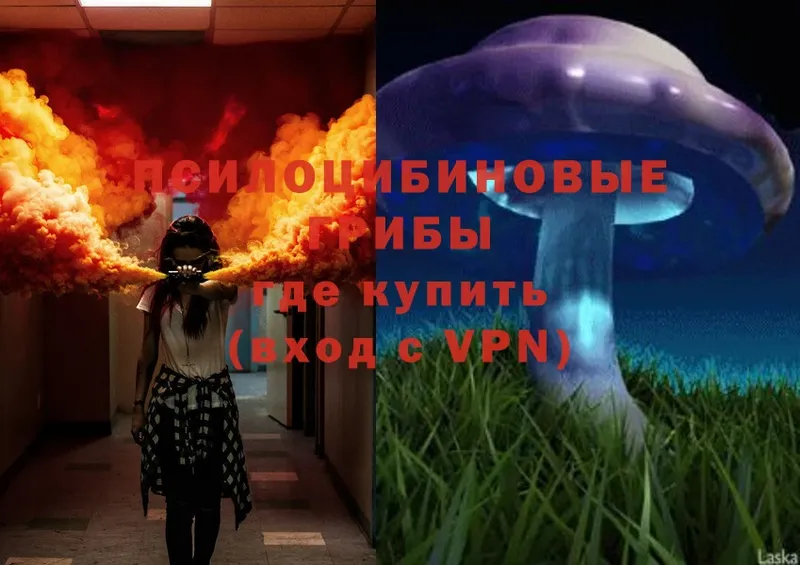 Галлюциногенные грибы MAGIC MUSHROOMS  закладка  Партизанск 